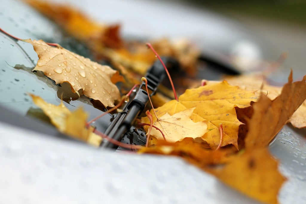 What wiper blade do I need?