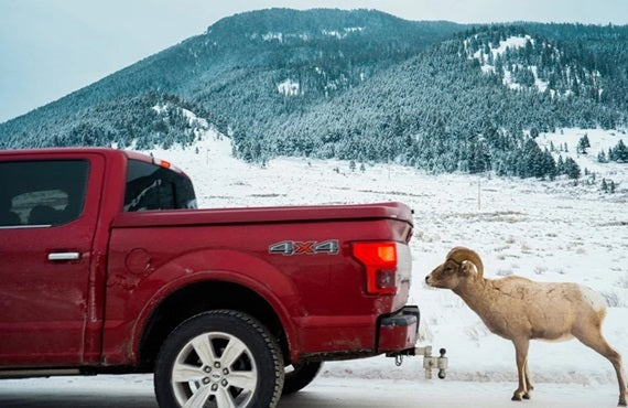 How to install a soft roll up tonneau cover on your truck bed?