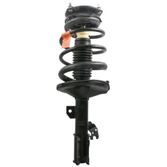 Front+Rear Struts Shocks For 2002-2003 Toyota Camry Lexus ES300 w/Coil Spring & Sway Bar Links (Set of 8)