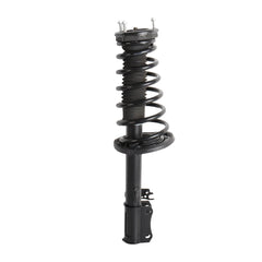 Rear Struts For 2006-2012 Toyota Avalon Lexus ES350 w/Coil Spring & Sway Bar Links (Set of 4)