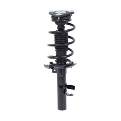 Front+Rear Shock Struts For 2013-2018 Ford Focus S SE w/Coil Spring & Sway Bar Links (Set of 8)