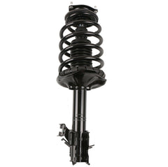 Front Complete Struts & Coil Spring For 2002-2006 Nissan Sentra 1.8L Models (Set of 2)